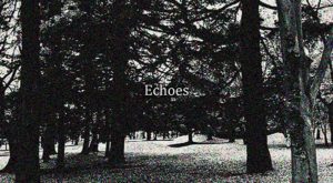 森の中で聴こえる音をテーマしたアンビエントアルバム"Echoes"リリース