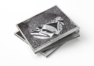 William Basinski & Janek Schaefer ". . . on reflection"  8年の歳月を経て完成した傑作アンビエントアルバム