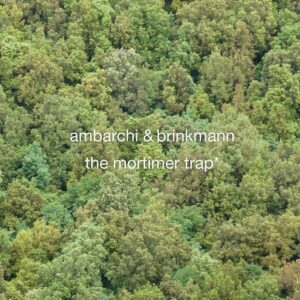Thomas Brinkmann & Oren Ambarchi “The Mortimer Trap” 77分に及ぶサウンドジャニー
